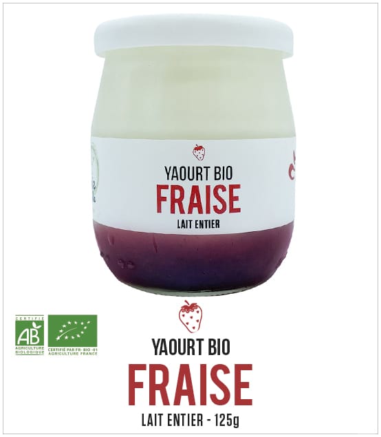 Yaourt Bio Fraise